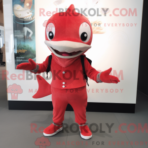 Maskotka Red Shark jest...