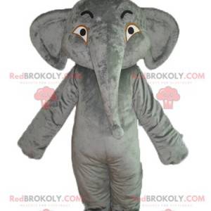 Blød og imponerende grå elefantmaskot - Redbrokoly.com