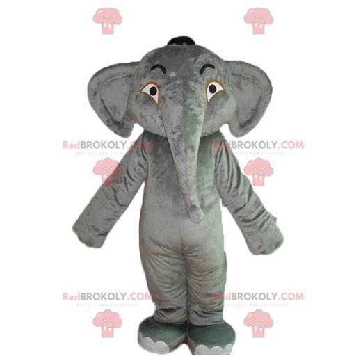 Blød og imponerende grå elefantmaskot - Redbrokoly.com