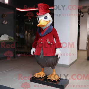 Red Muscovy Duck...
