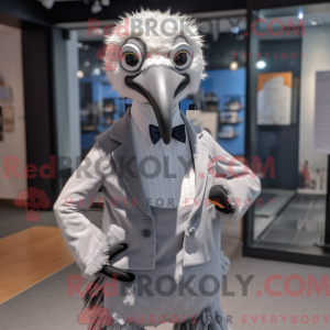 Grijze Albatros...
