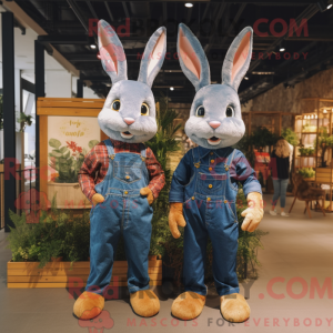 Gold Rabbit maskot...