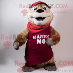 Maroon Marmot...