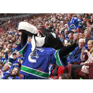 Black and white killer whale mascot in hockey gear -