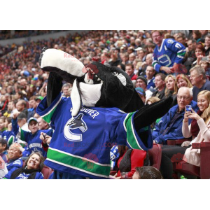 Mascotte d'orque noir et blanc en tenue de hockey -