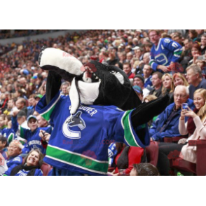 Black and white killer whale mascot in hockey gear -