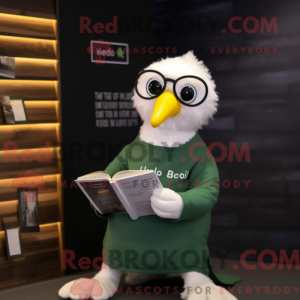 Olive Seagull...