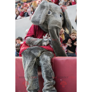 Mascotte elefante grigio con una maglietta rossa -