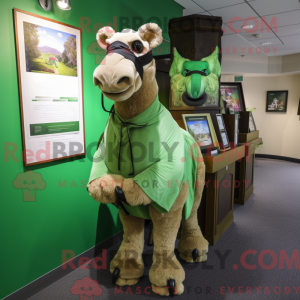 Costume mascotte de chameau...