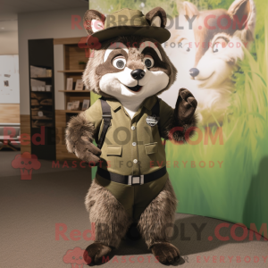 Olive Raccoon...