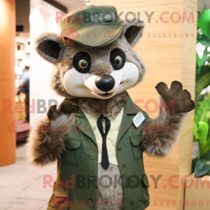 Olive Raccoon...
