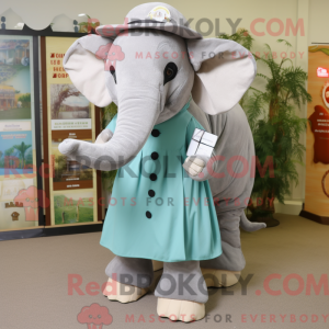 Elephant mascot costume...