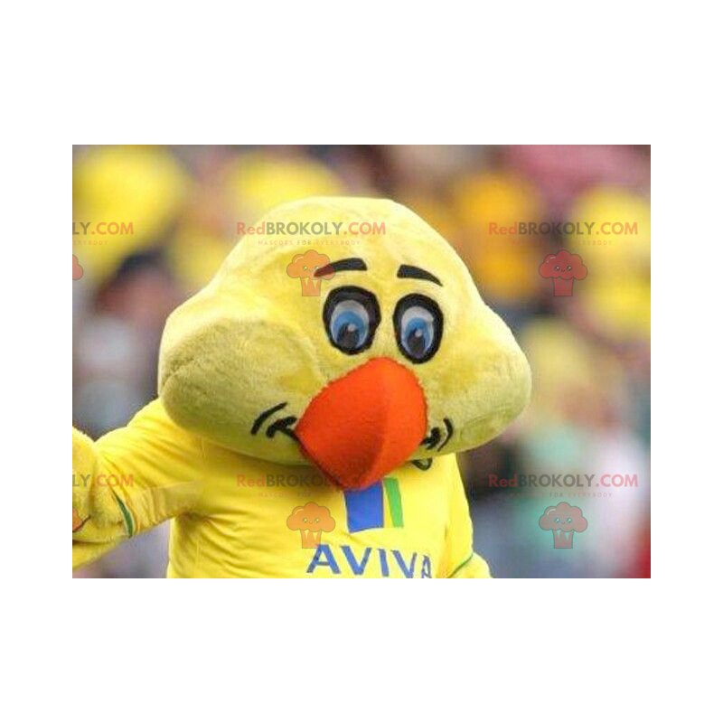 Mascotte de canari de poussin jaune - Redbrokoly.com