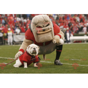Mascote bulldog bege muito musculoso - Redbrokoly.com