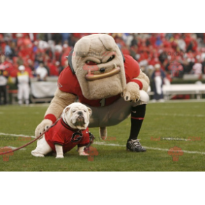 Very muscular beige bulldog mascot - Redbrokoly.com