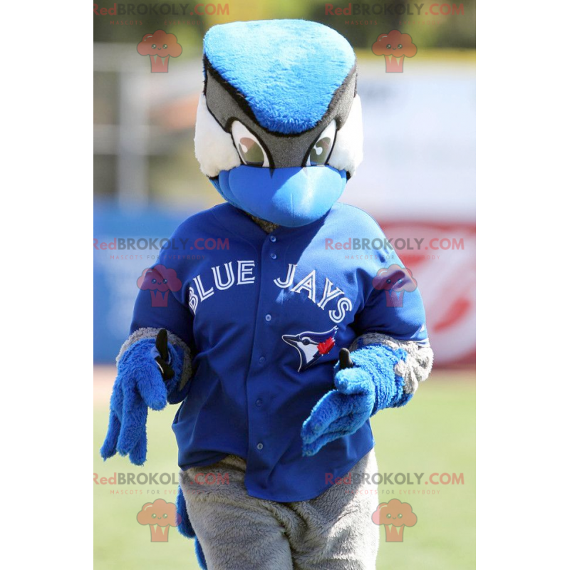 Mascotte d'oiseau de geai bleu noir et blanc - Redbrokoly.com