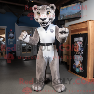 Silver Mountain Lion...