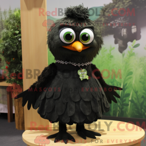 Olive Blackbird...