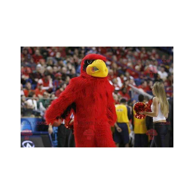 Black and yellow red eagle mascot - Redbrokoly.com