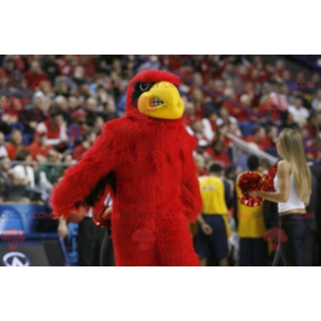 Black and yellow red eagle mascot - Redbrokoly.com