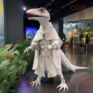 Wit Dimorphodon...
