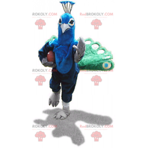 Mascote pavão verde e azul - Redbrokoly.com