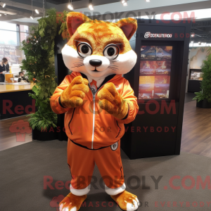Orange Bobcat Maskottchen...