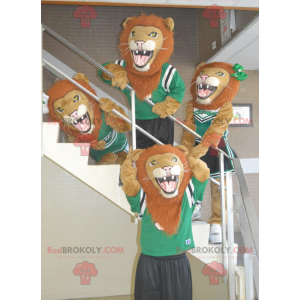 4 brusande lejonmaskoter i sportkläder - Redbrokoly.com