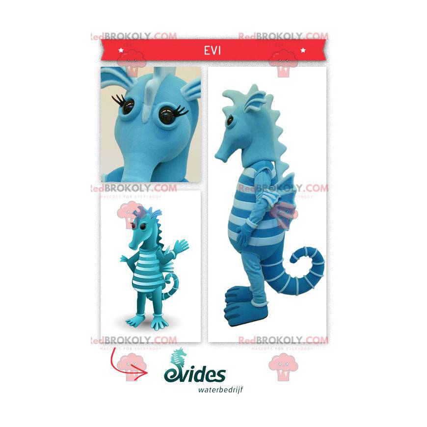Two-tone blue seahorse mascot - Redbrokoly.com