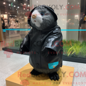 Black Guinea Pig mascot...
