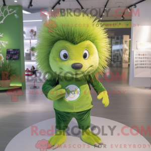 Personaggio mascotte riccio...