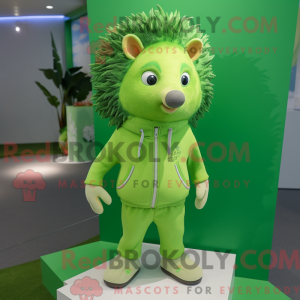 Lime Green Hedgehog...