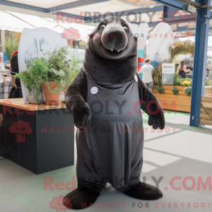 Black Sea Lion mascot...
