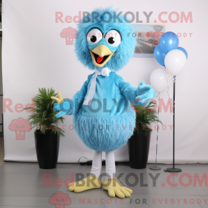Sky Blue Struisvogel...
