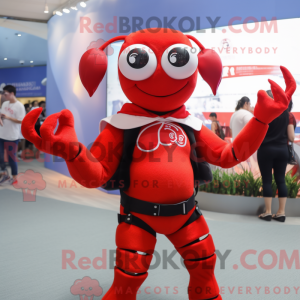 Red Lobster maskot kostume...