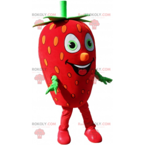 Giant strawberry mascot strawberry disguise - Redbrokoly.com