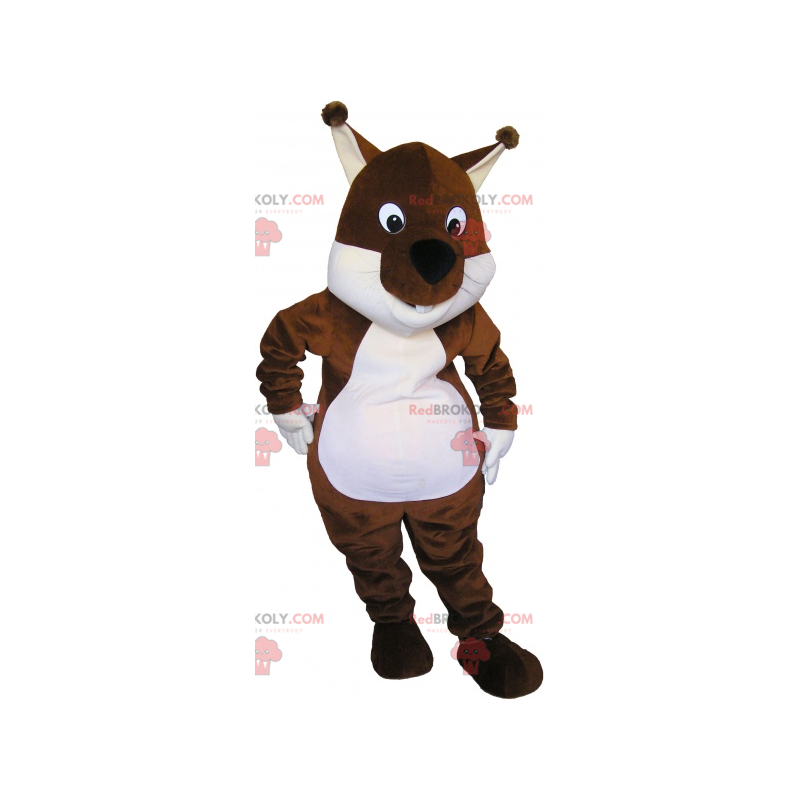 Mascotte scoiattolo marrone e bianco Tic o Tac - Redbrokoly.com Mascotte scoiattolo marrone e bianco Tic o Tac - Redbrokoly.com