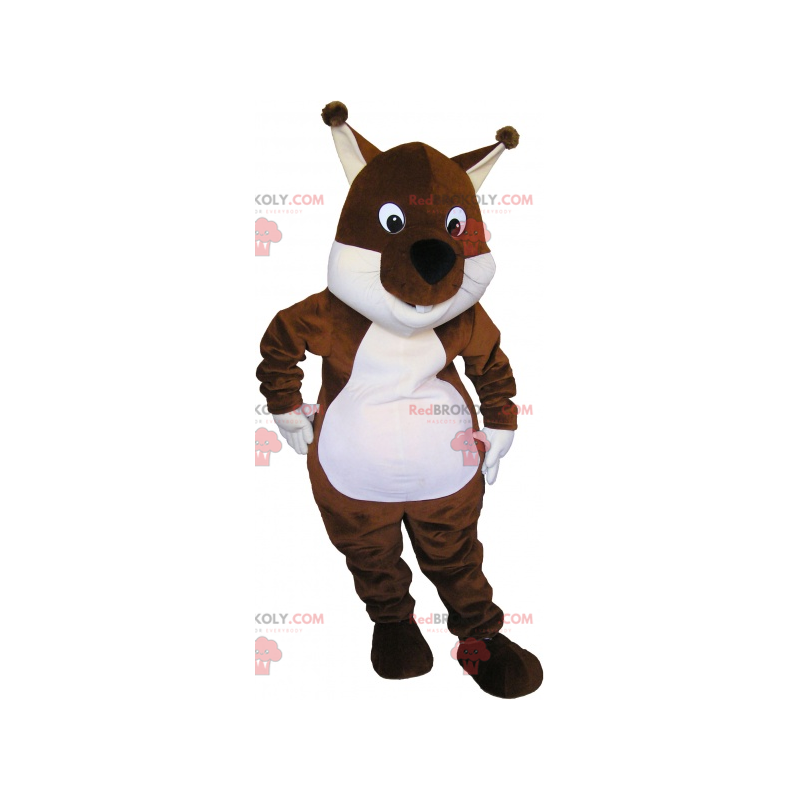 Tic o Tac mascota ardilla marrón y blanca - Redbrokoly.com