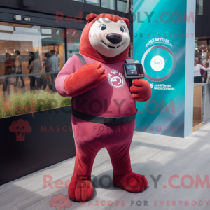 Maroon Sea Lion mascot...