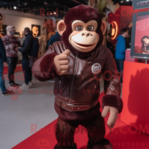 Maroon chimpansee...