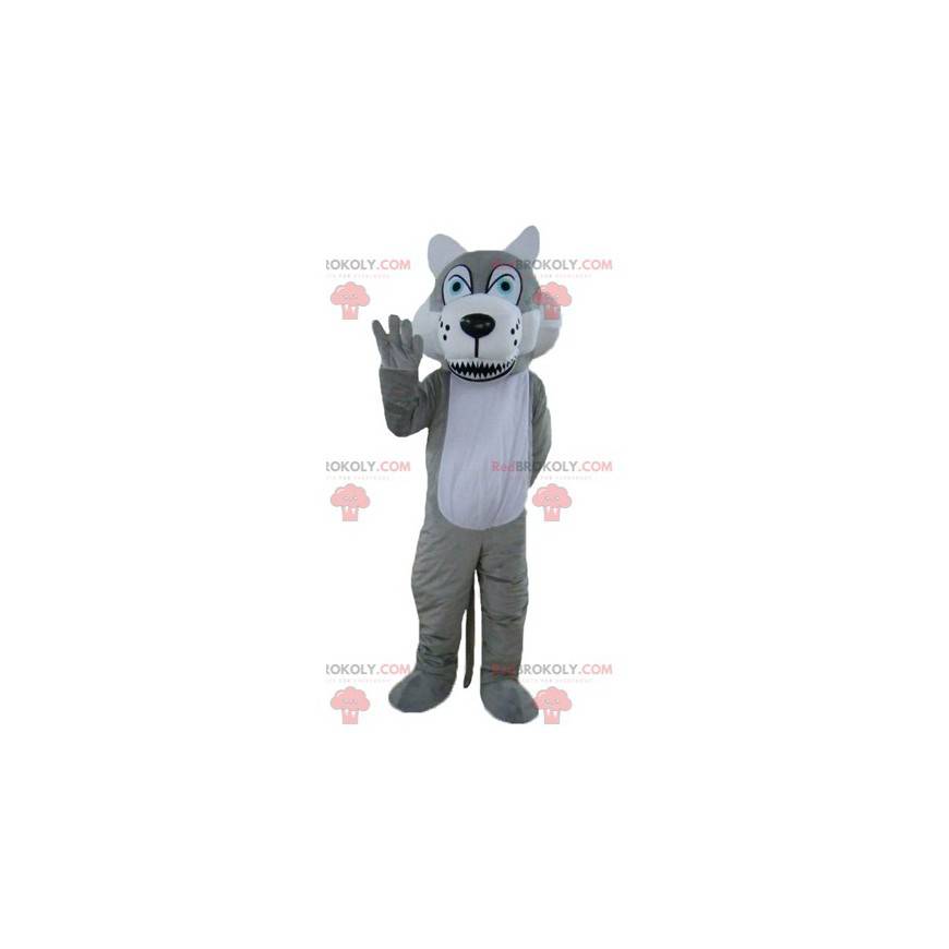 Grijze en witte wolf mascotte met blauwe ogen - Redbrokoly.com