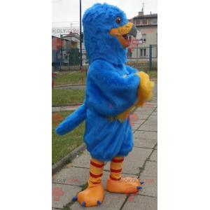 Mascote pássaro azul e amarelo. Mascote águia - Redbrokoly.com
