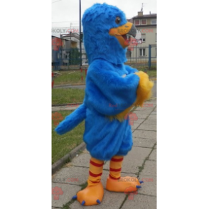 Mascota pájaro azul y amarillo. Mascota del águila -