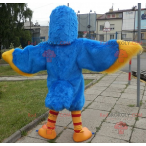 Blue and yellow bird mascot. Eagle mascot - Redbrokoly.com