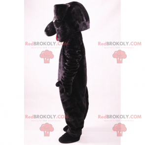Mascota de mascotas - Perro negro - Redbrokoly.com