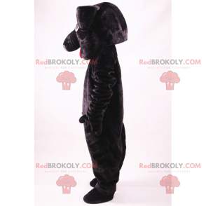 Mascotte animali domestici - cane nero - Redbrokoly.com