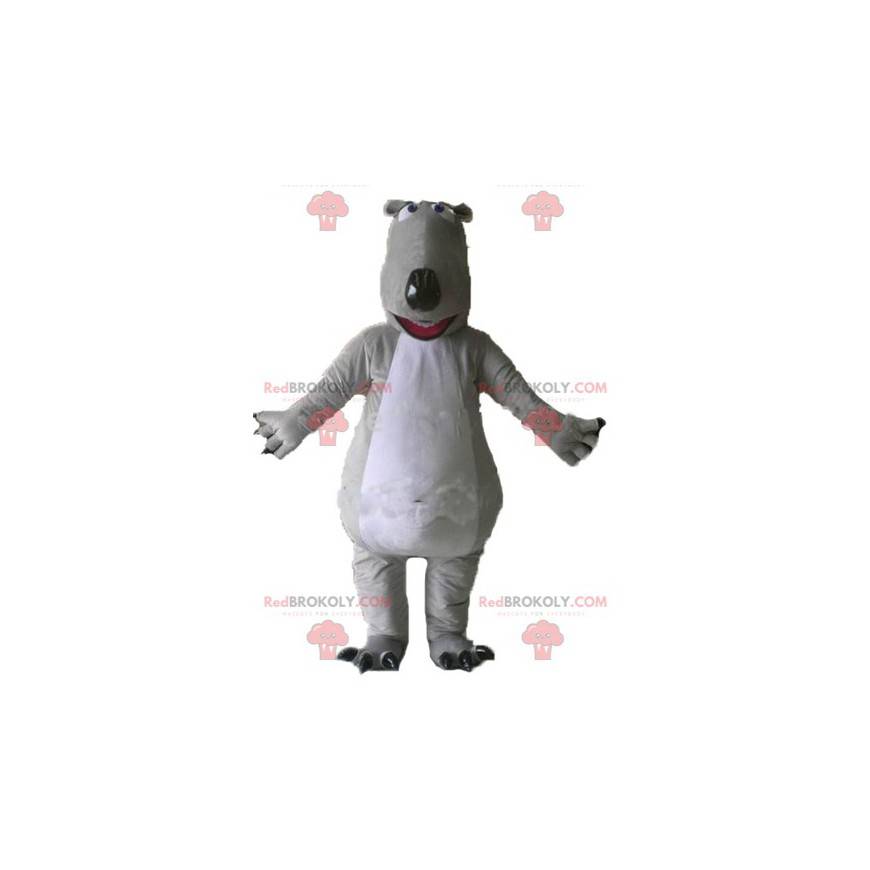 Gigante e impressionante mascotte orso grigio e bianco -