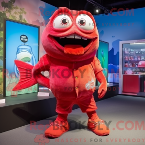Rød Piranha maskot drakt...