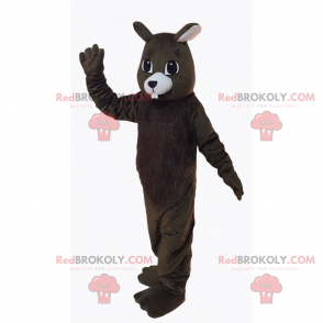 Mascote animal da montanha - esquilo - Redbrokoly.com