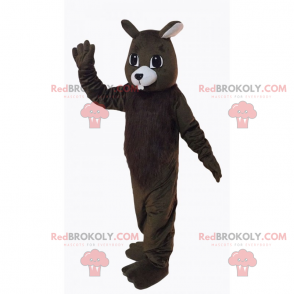 Mascotte van het bergdier - Eekhoorn - Redbrokoly.com